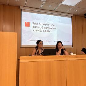Prova pilot Pis Post Acompanya'm PRESENTACIÓ PROJECTE